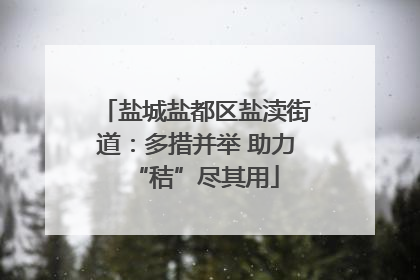盐城盐都区盐渎街道：多措并举 助力“秸”尽其用