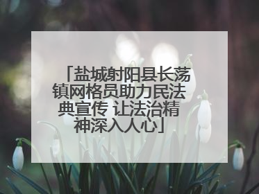 盐城射阳县长荡镇网格员助力民法典宣传 让法治精神深入人心