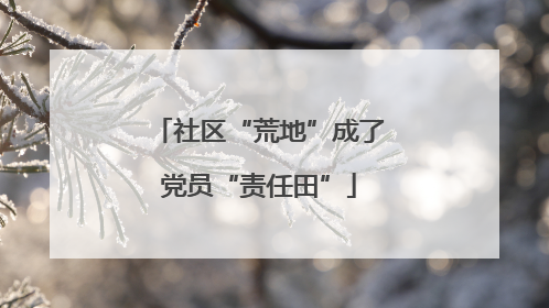 社区“荒地”成了党员“责任田”