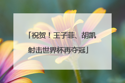 祝贺！王子菲、胡凯射击世界杯再夺冠
