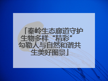 秦岭生态廊道守护生物多样“精彩” 勾勒人与自然和谐共生美好图景
