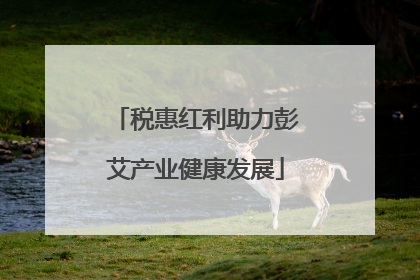 税惠红利助力彭艾产业健康发展