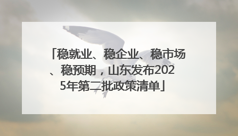 稳就业、稳企业、稳市场、稳预期，山东发布2025年第二批政策清单