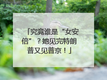 究竟谁是“女安倍”？她见完特朗普又见普京！