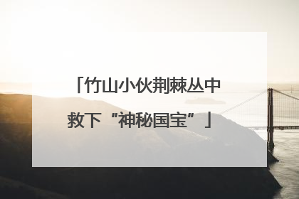 竹山小伙荆棘丛中救下“神秘国宝”