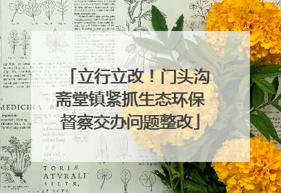 立行立改！门头沟斋堂镇紧抓生态环保督察交办问题整改