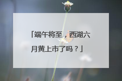 端午将至，西湖六月黄上市了吗？