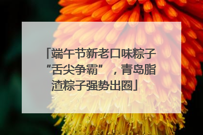 端午节新老口味粽子“舌尖争霸”，青岛脂渣粽子强势出圈