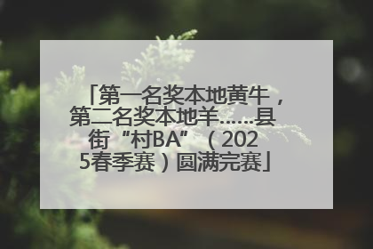 第一名奖本地黄牛，第二名奖本地羊……县街“村BA”（2025春季赛）圆满完赛
