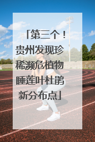 第三个！贵州发现珍稀濒危植物睡莲叶杜鹃新分布点