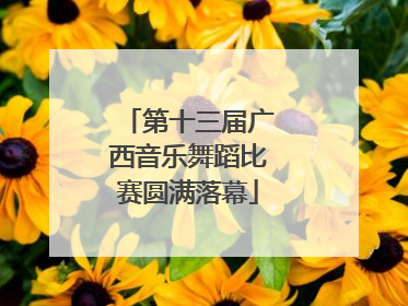 第十三届广西音乐舞蹈比赛圆满落幕