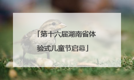 第十六届湖南省体验式儿童节启幕