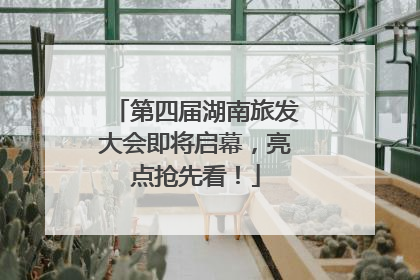 第四届湖南旅发大会即将启幕，亮点抢先看！