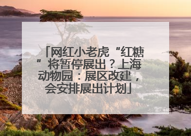 网红小老虎“红糖”将暂停展出？上海动物园：展区改建，会安排展出计划