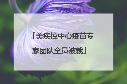美疾控中心疫苗专家团队全员被裁