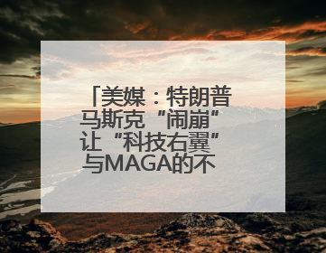 美媒：特朗普马斯克“闹崩”让“科技右翼”与MAGA的不和公开化