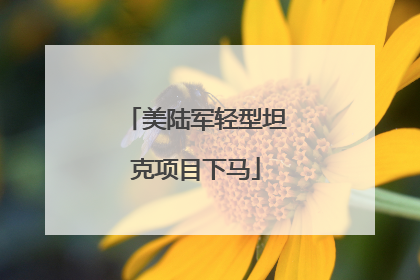 美陆军轻型坦克项目下马