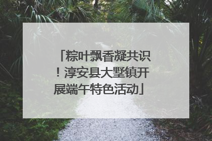 粽叶飘香凝共识！淳安县大墅镇开展端午特色活动