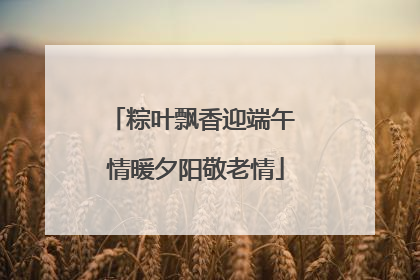 粽叶飘香迎端午 情暖夕阳敬老情
