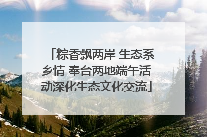 粽香飘两岸 生态系乡情 奉台两地端午活动深化生态文化交流