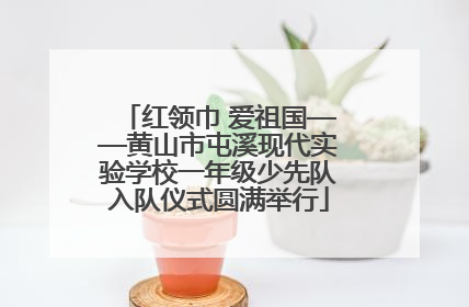 红领巾 爱祖国——黄山市屯溪现代实验学校一年级少先队入队仪式圆满举行