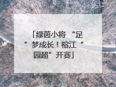 绿茵小将 “足”梦成长！榕江“园超”开赛