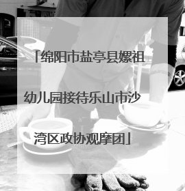 绵阳市盐亭县嫘祖幼儿园接待乐山市沙湾区政协观摩团