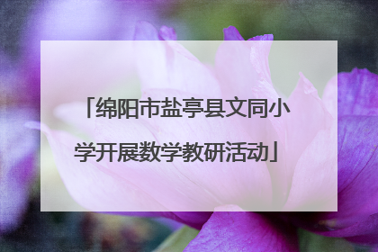 绵阳市盐亭县文同小学开展数学教研活动