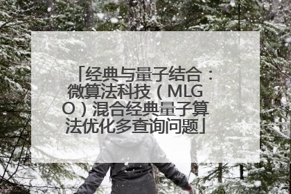经典与量子结合：微算法科技（MLGO）混合经典量子算法优化多查询问题
