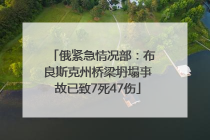 俄紧急情况部：布良斯克州桥梁坍塌事故已致7死47伤