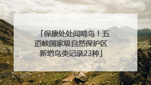 保康处处闻啼鸟！五道峡国家级自然保护区新增鸟类记录23种