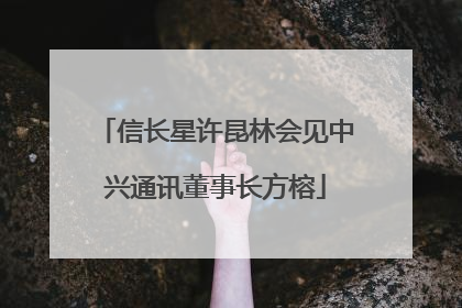 信长星许昆林会见中兴通讯董事长方榕