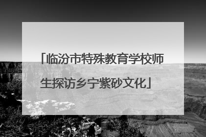 临汾市特殊教育学校师生探访乡宁紫砂文化