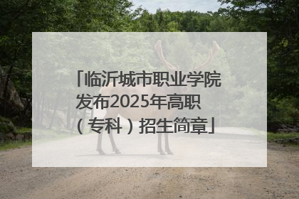 临沂城市职业学院发布2025年高职（专科）招生简章