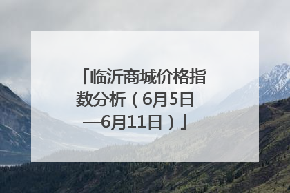 临沂商城价格指数分析（6月5日—6月11日）