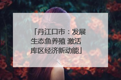 丹江口市：发展生态鱼养殖 激活库区经济新动能