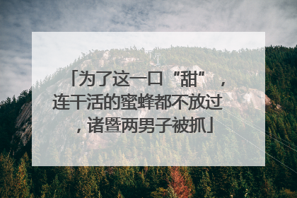 为了这一口“甜”，连干活的蜜蜂都不放过，诸暨两男子被抓