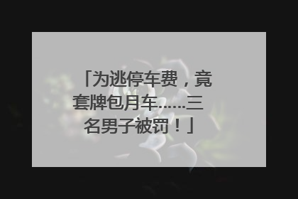 为逃停车费，竟套牌包月车……三名男子被罚！