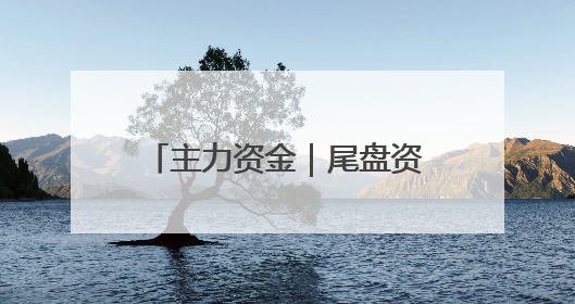 主力资金｜尾盘资金大幅抢筹2股