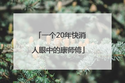 一个20年快消人眼中的康师傅