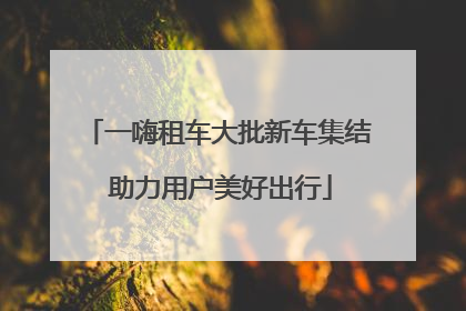 一嗨租车大批新车集结 助力用户美好出行