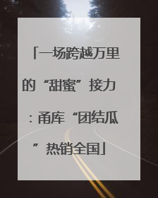 一场跨越万里的“甜蜜”接力：甬库“团结瓜”热销全国