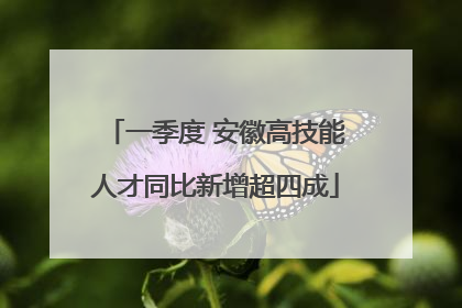 一季度 安徽高技能人才同比新增超四成