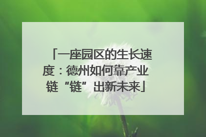 一座园区的生长速度：德州如何靠产业链“链”出新未来