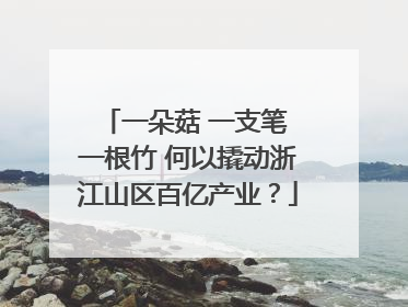 一朵菇 一支笔 一根竹 何以撬动浙江山区百亿产业？