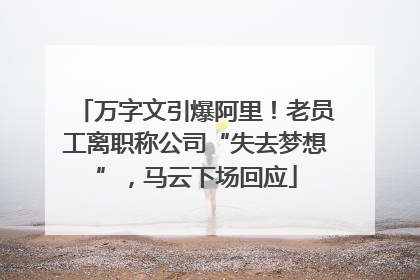 万字文引爆阿里！老员工离职称公司“失去梦想”，马云下场回应
