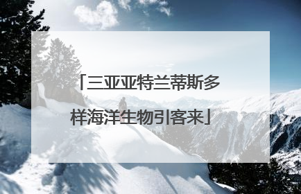 三亚亚特兰蒂斯多样海洋生物引客来