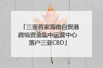 三亚首家海南自贸港跨境资金集中运营中心落户三亚CBD