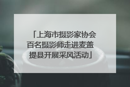 上海市摄影家协会百名摄影师走进麦盖提县开展采风活动