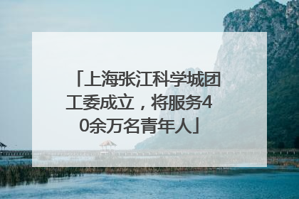 上海张江科学城团工委成立，将服务40余万名青年人